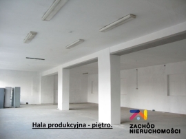 Obiekt 1200 m2 z najemcą na działce 40 arów,